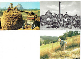 Lot 3 Cpm - Il était Une Fois L'Auvergne - LA BATTEUSE MOISSON - Gestes Et Paysages - Moissonneuse BATTEUSE MERLIN Faux - Tracteurs