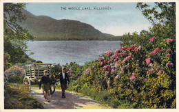 CPA Irlande - Kerry - Killarney - The Middle Lake - E. T. W. Dennis & Sons - Dennis Productions - Oblitérée - Animée - Kerry