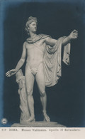 2e.668  ROMA - Museo Vaticano - Apollo Di Belvedere - Collez. N.P.G. - Musei