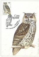 Ukraine  - Maximum Card 2003 :    Eurasian Eagle-Owl  -  Bubo Bubo - Hiboux & Chouettes