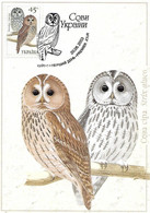 Ukraine  - Maximum Card 2003 :     Tawny Owl  -  Strix Aluco - Hiboux & Chouettes