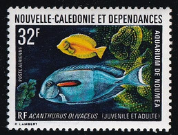 Nouvelle Calédonie Poste Aérienne N°145 - Neuf ** Sans Charnière - TB - Unused Stamps