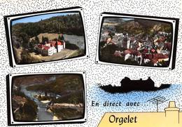 39 - ORGELET - Multi-vues En 4 Beaux Plans - Orgelet