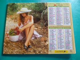 Calendrier Lavigne 1995 Femme Romantique Photo Nikolson  Bicyclette érotisme  Almanach  Facteur Sarthe  PTT POSTE - Formato Grande : 1991-00