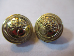 2 Mini-Boutons Anciens D'uniforme/Militaria/Grenade éclatant/Laiton Poli/Perfectionne /. Paris/15/ Début XXème   BOUT151 - Buttons