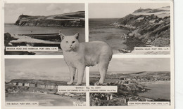 PORT ERIN, ISLE OF MAN MULTI VIEW - Isla De Man