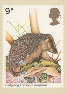 Great Britain 1977 PHQ Card Sc 816 9p Hedgehog - PHQ Cards