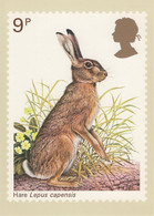 Great Britain 1977 PHQ Card Sc 817 9p Brown Hare - PHQ Karten