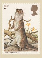 Great Britain 1977 PHQ Card Sc 819 9p Otter - Cartes PHQ