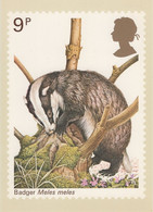 Great Britain 1977 PHQ Card Sc 820 9p Badger - Cartes PHQ