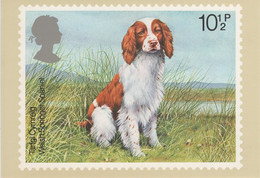 Great Britain 1979 PHQ Card Sc 852 10 1/2p Welsh Springer Spaniel - PHQ Cards