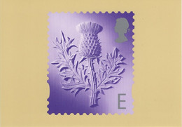 Great Britain Scotland 1999 PHQ Card Sc 16 E Thistle - Cartes PHQ