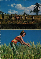 CPM AK Bali Harvesting Paddy INDONESIA (1281106) - Indonesia