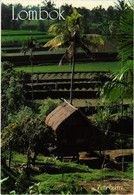 CPM AK Bali Country Side At Lombok INDONESIA (1281139) - Indonesia