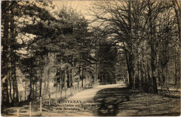 CPA AK Fontenay Sous Bois Route Circulaire Au Bord FRANCE (1282733) - Fontenay Sous Bois