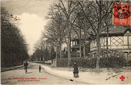 CPA AK Fontenay Sous Bois Avenue De La Dame-Blanche FRANCE (1282737) - Fontenay Sous Bois