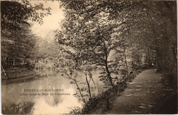 CPA AK Fontenay Sous Bois Allee Dans Le Bois De Vincennes FRANCE (1282740) - Fontenay Sous Bois