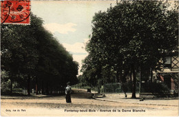 CPA AK Fontenay Sous Bois Avenue De La Dame-Blanche FRANCE (1282744) - Fontenay Sous Bois