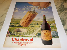 ANCIENNE PUBLICITE LE SOMMELIER DU TERROIR CHANTOVENT 1981 - Alcools