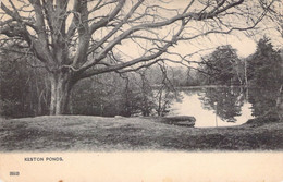 CPA Royaume Uni - Angleterre - Kent - Keston Ponds - Park - Lac - Etang - Arbre - Postcard Gt. Britain & Ireland - Other & Unclassified