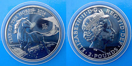 GREAT BRITAIN 2 P 2014 UNITED KINGDOM ARGENTO SILVER 999 OZ YEAR OF HORSE WEIGHT 31g TITOLO 0,999 CONSERVAZIONE FDC UNC. - Maundy Sets & Gedenkmünzen