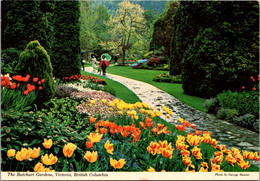 Canada Victoria The Butchart Gardens Flower Lined Path - Victoria