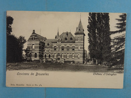 Les Environs De Bruxelles Château D'Oetinghem - Gooik