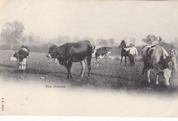 AUX CHAMPS - Vaches - Très Bon état - Cham