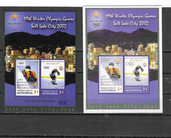MICRONESIA Nº HB 105 - Winter 2002: Salt Lake City - Paralympic