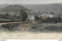 HERBEUMONT ..-- Nels 40 , N° 195 Couleur . Route De SAINT-MEDARD . 1905 Vers PARIS ( Mme Virginie KAHN ) . Voir Verso - Herbeumont