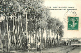 St Brévin Les Pins * Avenue De L'hôtel De Ville Et Le Bois De Pins - Saint-Brevin-les-Pins