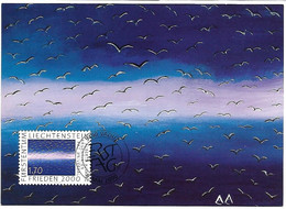 Liechtenstein - 2000 Maximumcard  :    Frieden 2000 - Alberto Alvarez - Ardentinien - Mouettes