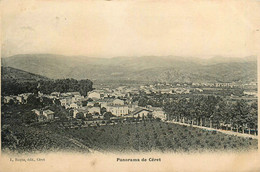 Céret * Panorama De La Commune - Ceret