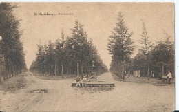 Mariaburg - Boschzicht - 1931 - Brasschaat