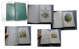 Les Fleurs Animées, Grandville, Edit De Gonet 1867, RARE, Pour Bibliophiles, 2 Volumes  ; L15 - 1801-1900