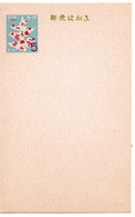 62593 - Japan - 1960 - ¥5 GAKte "Sommergruss", Ungebraucht - Lettres & Documents