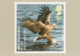 Great Britain 2007 PHQ Card Sc 2498 1st White-tailed Eagle - Cartes PHQ