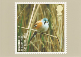 Great Britain 2007 PHQ Card Sc 2499 1st Bearded Tit - PHQ-Cards