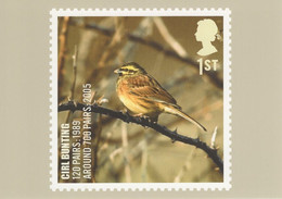 Great Britain 2007 PHQ Card Sc 2501 1st Cirl Bunting - Carte PHQ