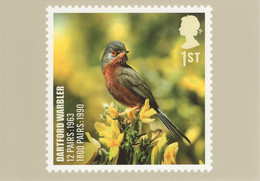 Great Britain 2007 PHQ Card Sc 2505 1st Dartford Warbler - Tarjetas PHQ