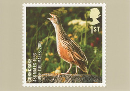 Great Britain 2007 PHQ Card Sc 2506 1st Corncrake - Cartes PHQ