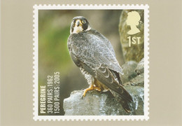 Great Britain 2007 PHQ Card Sc 2507 1st Peregrine - PHQ Cards