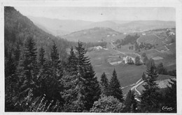 SEPTMONCEL (Jura) - Vue Panoramique Des Alentours - Septmoncel