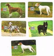 CROAZIA (CROATIA) - CHIP  - HPT 1996   CROATIAN DOGS: COMPLET SET OF 5  - USED - RIF. 6693 - Chiens