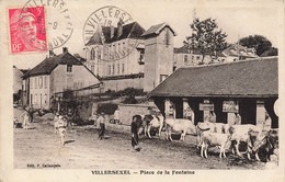 CPA Villersexel - Place De La Fontaine - Edit P Callanquin - Vaches - Animé - Villersexel