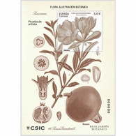 P0161# España 2022. Prueba De Artista. Flora. Ilustración Botánica - Proofs & Reprints
