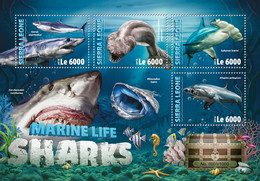 2016 SIERRA LEONE MNH  SHARKS  |  Yvert&Tellier Code: 5829-5832  |  Michel Code: 7028-7031  |  Scott Code: 3676 - Sierra Leone (1961-...)