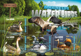 2016 SIERRA LEONE MNH  WATER BIRDS  |  Yvert&Tellier Code: 5837-5840  |  Michel Code: 7058-7061  |  Scott Code: 3674 - Sierra Leone (1961-...)