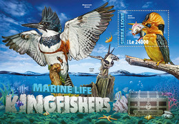 2016 SIERRA LEONE MNH  KINGFISHERS  |  Yvert&Tellier Code: 922  |  Michel Code: 7067 / Bl.945  |  Scott Code: 3693 - Sierra Leone (1961-...)