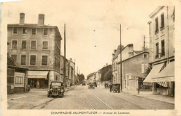 Champagne Au Mont D'or * Avenue De Lanessan * Automobile Voiture Ancienne - Andere & Zonder Classificatie